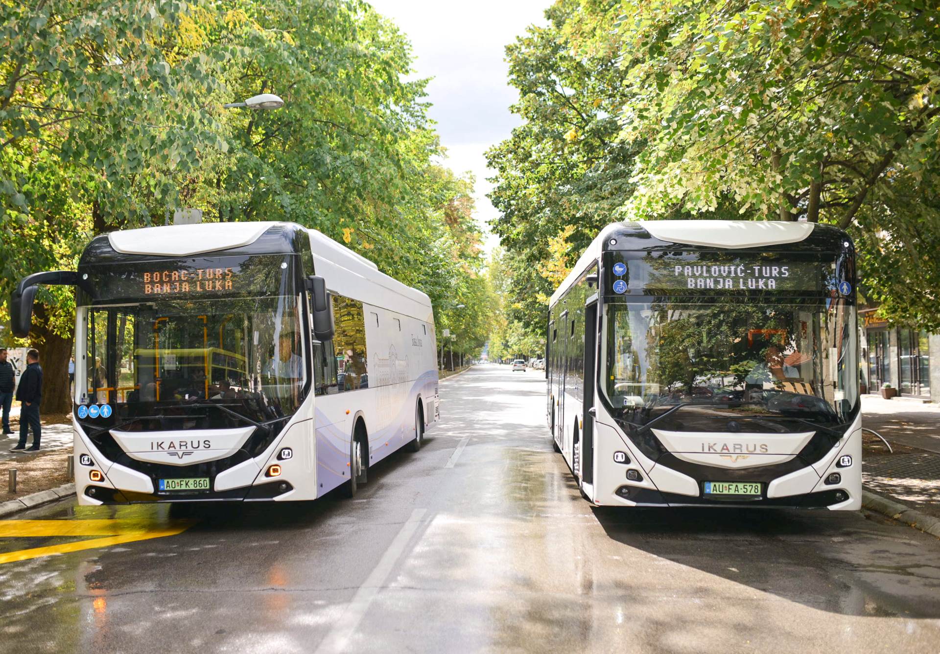 Bus