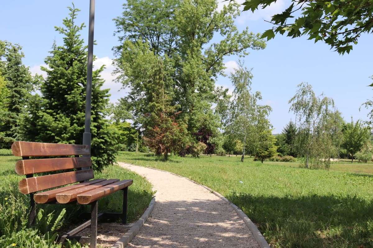 Staza i klupa u Botaničkoj bašti Univerziteta u Banjoj Luci